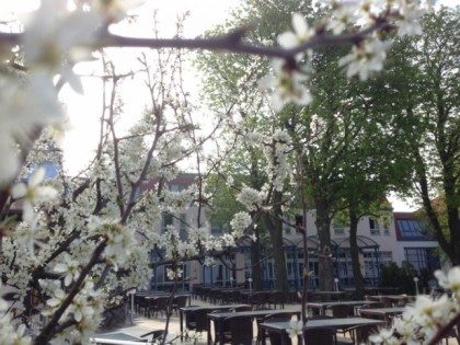 照片: Berghotel zum Edelacker